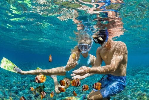 snorkelling-hawaii.jpg