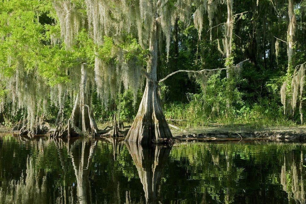Image de Parcs nationaux à visiter en Floride