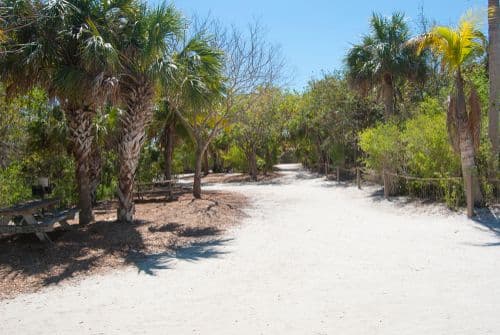Ile de Sanibel