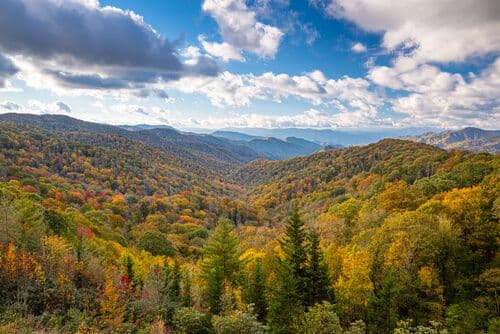great-smoky-mountains.jpg