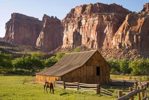 capitol-reef.jpg