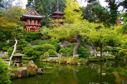 japanese-garden-san-francisco.jpg