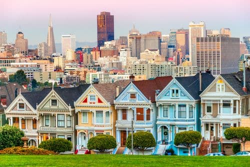 painted-ladies.jpg