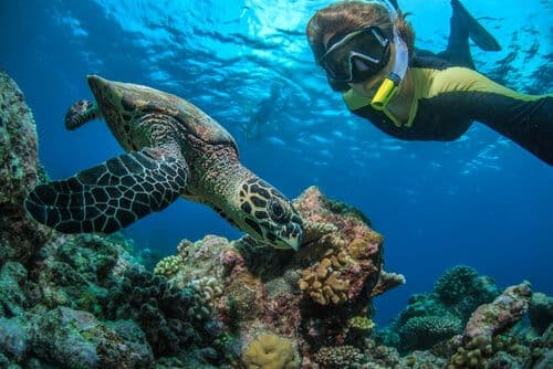 Turtle Beach Snorkeling.jpg
