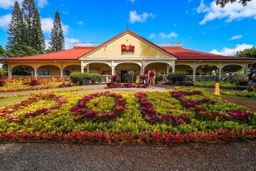 dole-plantation.jpg