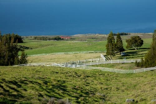 parker-ranch-hawaii.jpg