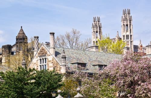 yale-03.jpg