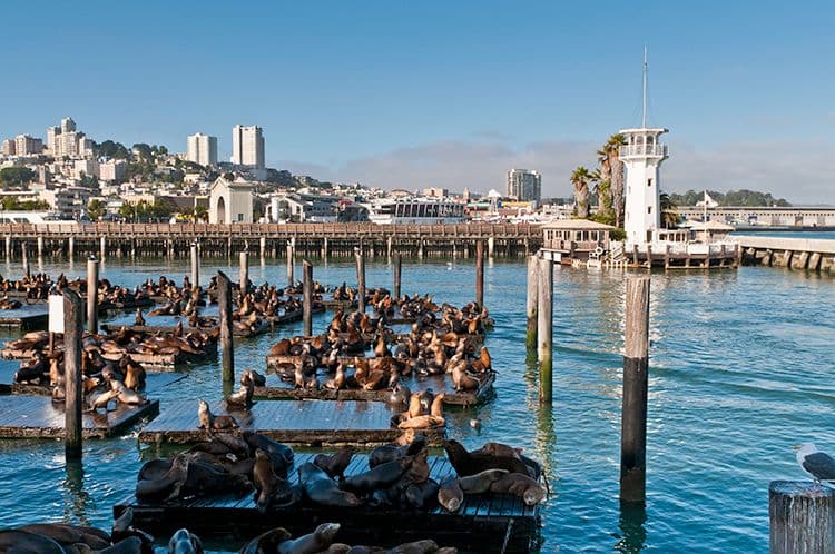 Fisherman's Wharf, Californie