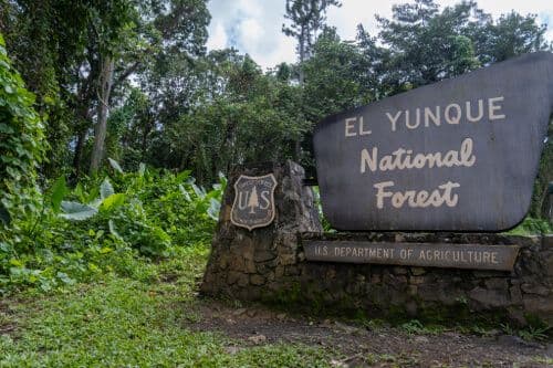 El Yunque National Forest