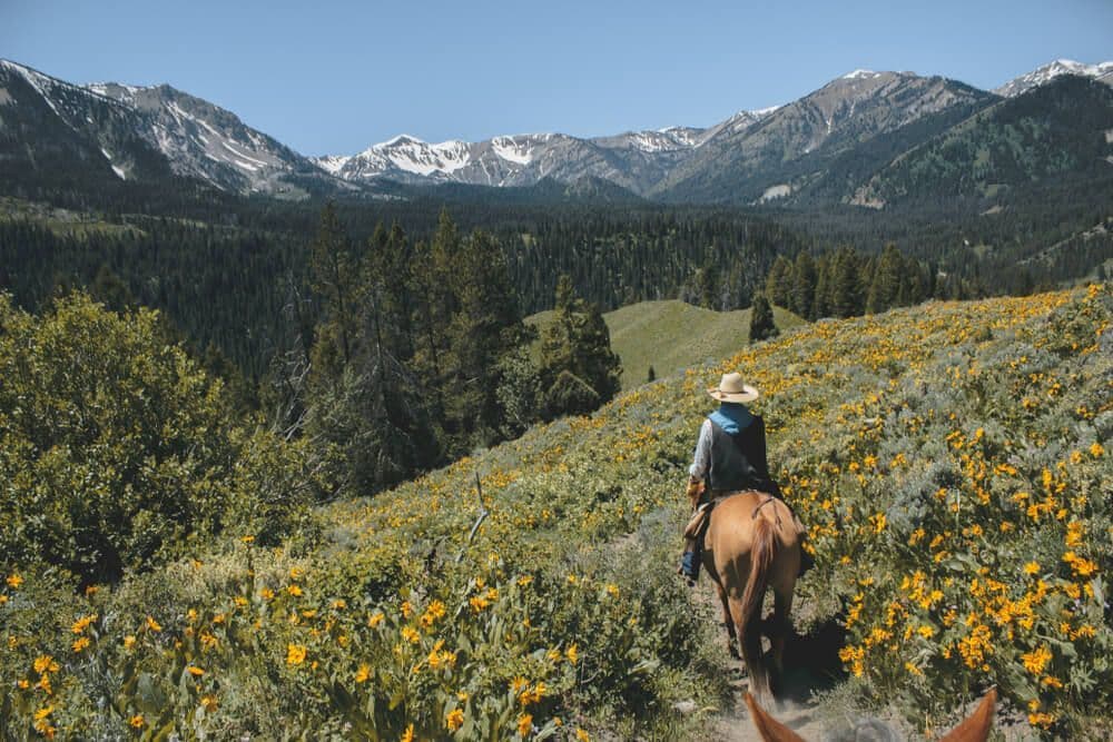 Une balade à cheval dans le parc de Grand Teton