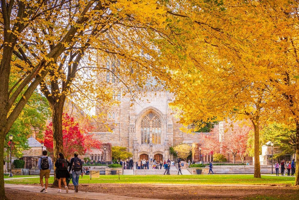 Image de Les universités de la Ivy League en Nouvelle Angleterre