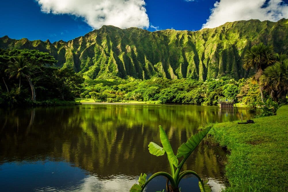 Image de Nature à Hawaï avec l'Windward Coast