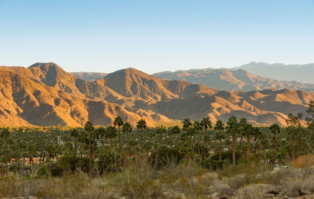 Image de Visiter Palm Springs