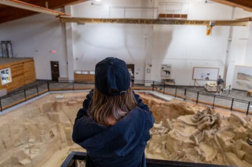 Mammoth Site, Hot Springs