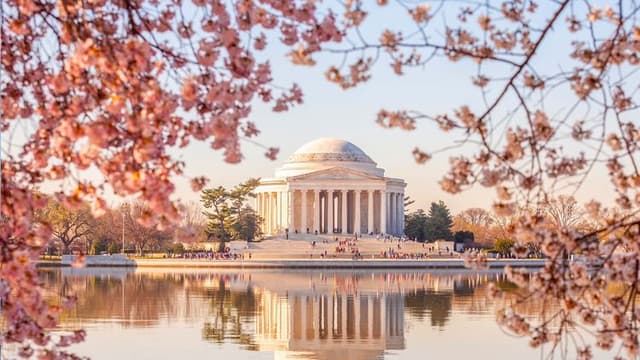 Washington Cherry Blossom Festival