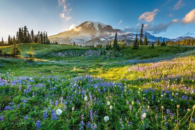 Le Mount Rainier Ă Washington