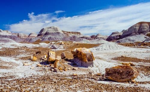 Image de Petrified Forest National Park