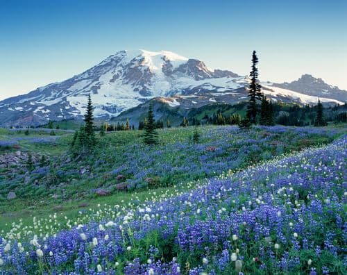 Mont Rainier, Washington