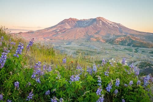 Le Mont Saint Helens, Etat de Washington