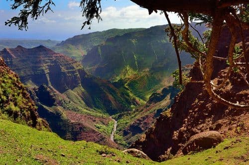 Image de Waimea Canyon State Park à Hawaï