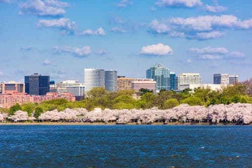 Image de Visiter Arlington en une journée