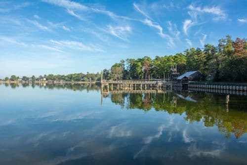 Image de Piney Woods